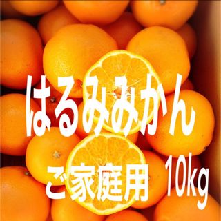 はるみみかん　10kg (フルーツ)