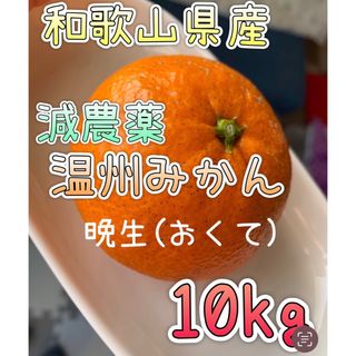 減農薬 晩生みかん【10kg】和歌山県産(フルーツ)