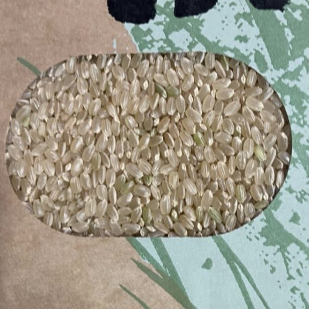 2023年産ヒノヒカリ玄米20 ｋｇ 【送料無料】 食品/飲料/酒の食品(米/穀物)の商品写真