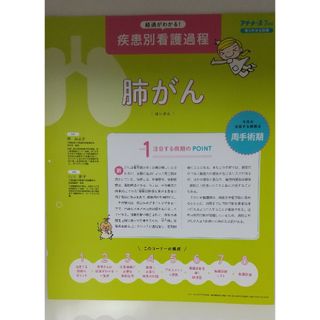 疾患別看護過程　肺がん　プチナース　別冊　付録(健康/医学)