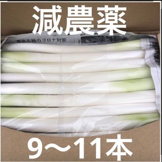 ずっしり重い！！　カット白長ネギ　A4サイズ(野菜)