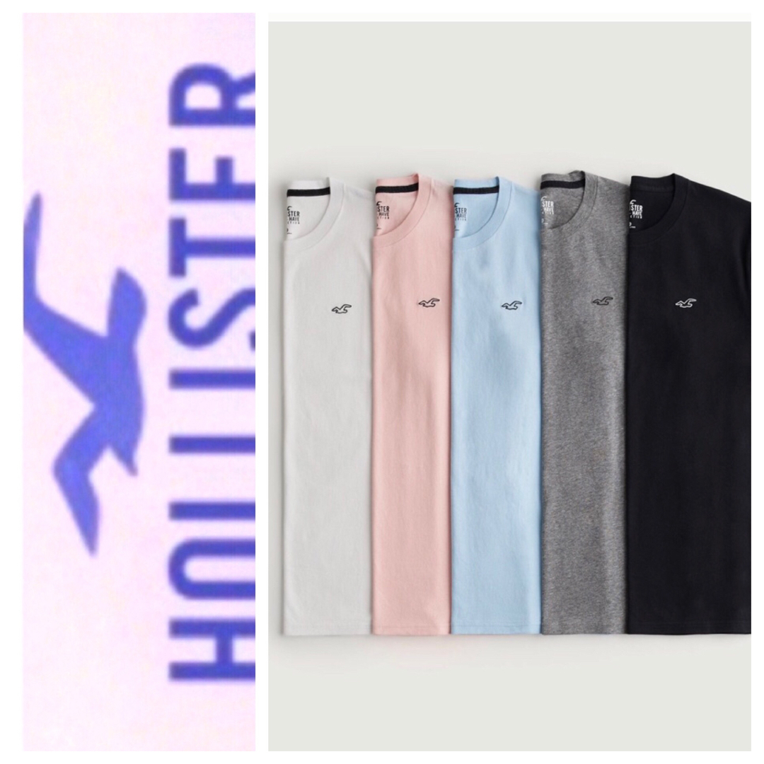 Hollister(ホリスター)の割引あり◎5枚セット◎S◎新品正規品◎ホリスター◎Tシャツ◎送料込 メンズのトップス(Tシャツ/カットソー(半袖/袖なし))の商品写真