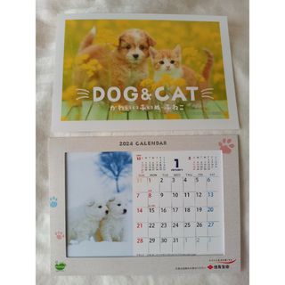 2024年　カレンダー　卓上　新品　未使用　住友生命　犬　猫(カレンダー/スケジュール)