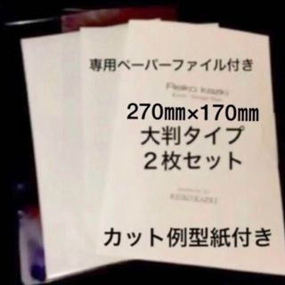 カヅキレイコ(REIKO KAZKI)の★かづきれいこデザインテープ    大判タイプ２枚《使用説明書&実寸大紙付(その他)