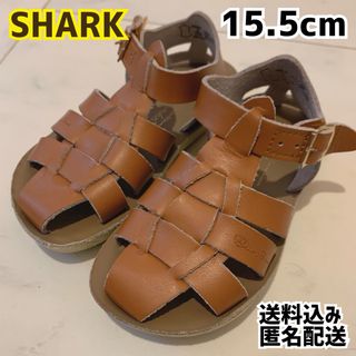 Shark Salt Water Sandals 15.5cm キャメル(サンダル)