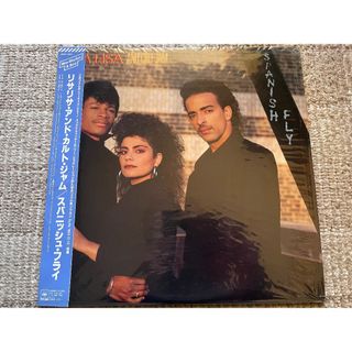 リサリサ・アンド・カルトジャム　　　　　　　　【美品】国内盤LPレコード