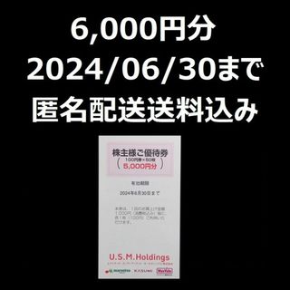 ユナイテッドスーパーマーケット　株主優待　株主様ご優待券　6000円分(その他)