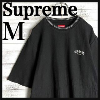 シュプリーム(Supreme)の8611【定番デザイン】シュプリーム☆ワンポイント刺繍ロゴ人気カラーtシャツ美品(Tシャツ/カットソー(半袖/袖なし))