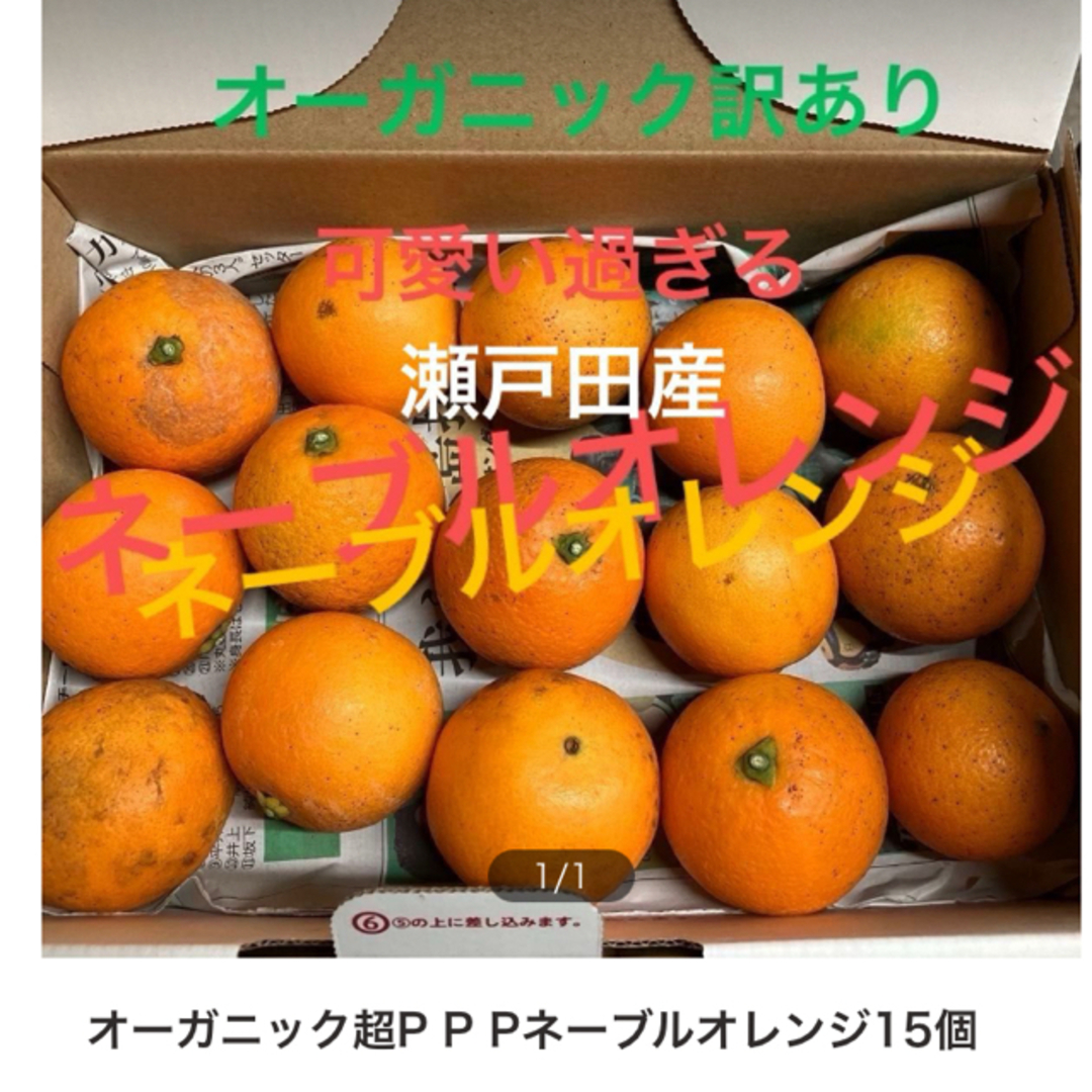 ネーブルオレンジ15個オーガニック訳あり可愛い過ぎる 食品/飲料/酒の食品(フルーツ)の商品写真