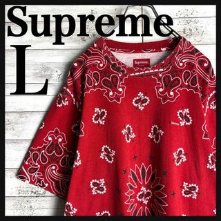 シュプリーム(Supreme)の8686【即完売モデル】シュプリーム☆ワンポイントボックスロゴ総柄tシャツ　美品(Tシャツ/カットソー(半袖/袖なし))