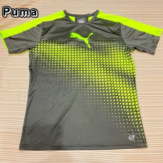 プーマ(PUMA)のプーマ　Tシャツ　M ブラック　イエロー(Tシャツ/カットソー(半袖/袖なし))