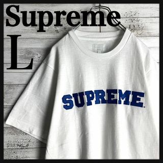 シュプリーム(Supreme)の8699【希少デザイン】シュプリーム☆人気Lサイズtシャツ　入手困難　定番(Tシャツ/カットソー(半袖/袖なし))