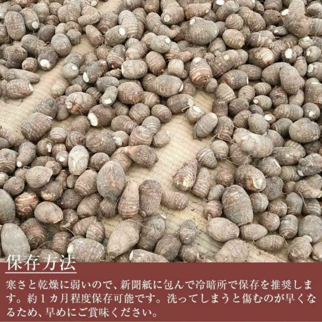 【訳あり】黄金里芋 大和芋 宅急便 10kg さといも サトイモ 山芋 食品/飲料/酒の食品(野菜)の商品写真