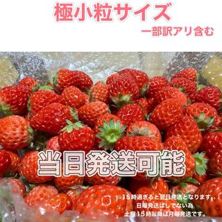 ミニ小粒や一部奇形果など訳あり 約750g　紅ほっぺ　いちご 🍓(フルーツ)