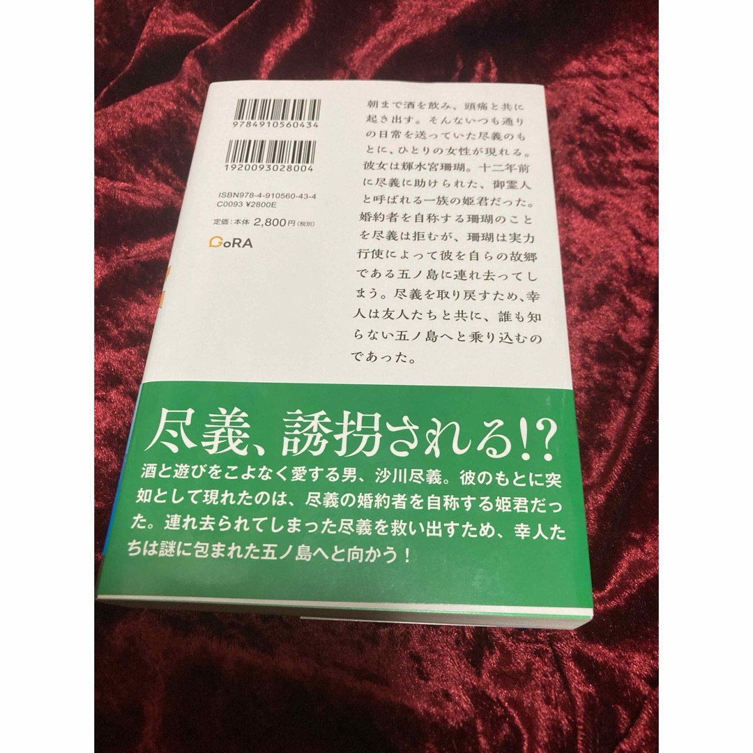 AYAKA -あやか　尽義の結婚前夜　公式スピンオフノベライズ エンタメ/ホビーの本(文学/小説)の商品写真