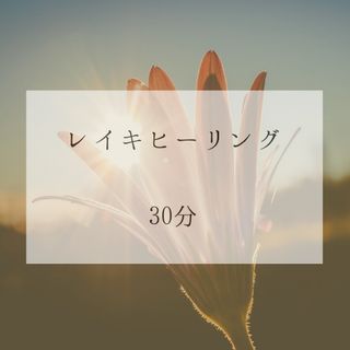 レイキヒーリング30分(その他)