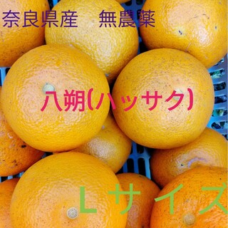 八朔(ハッサク)　Lサイズ　奈良県産　80サイズ 約5kg(フルーツ)