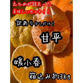 （秘密の玉手箱シリーズ）　甘平、媛小春　詰め合わせ　5キロ×2箱