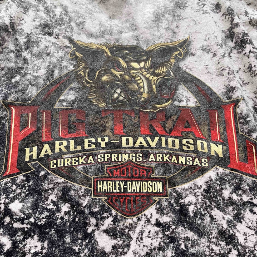 Harley Davidson(ハーレーダビッドソン)のハーレーダビッドソン タイダイ柄 半袖 クルーネックTシャツ L メキシコ製 メンズのトップス(Tシャツ/カットソー(半袖/袖なし))の商品写真