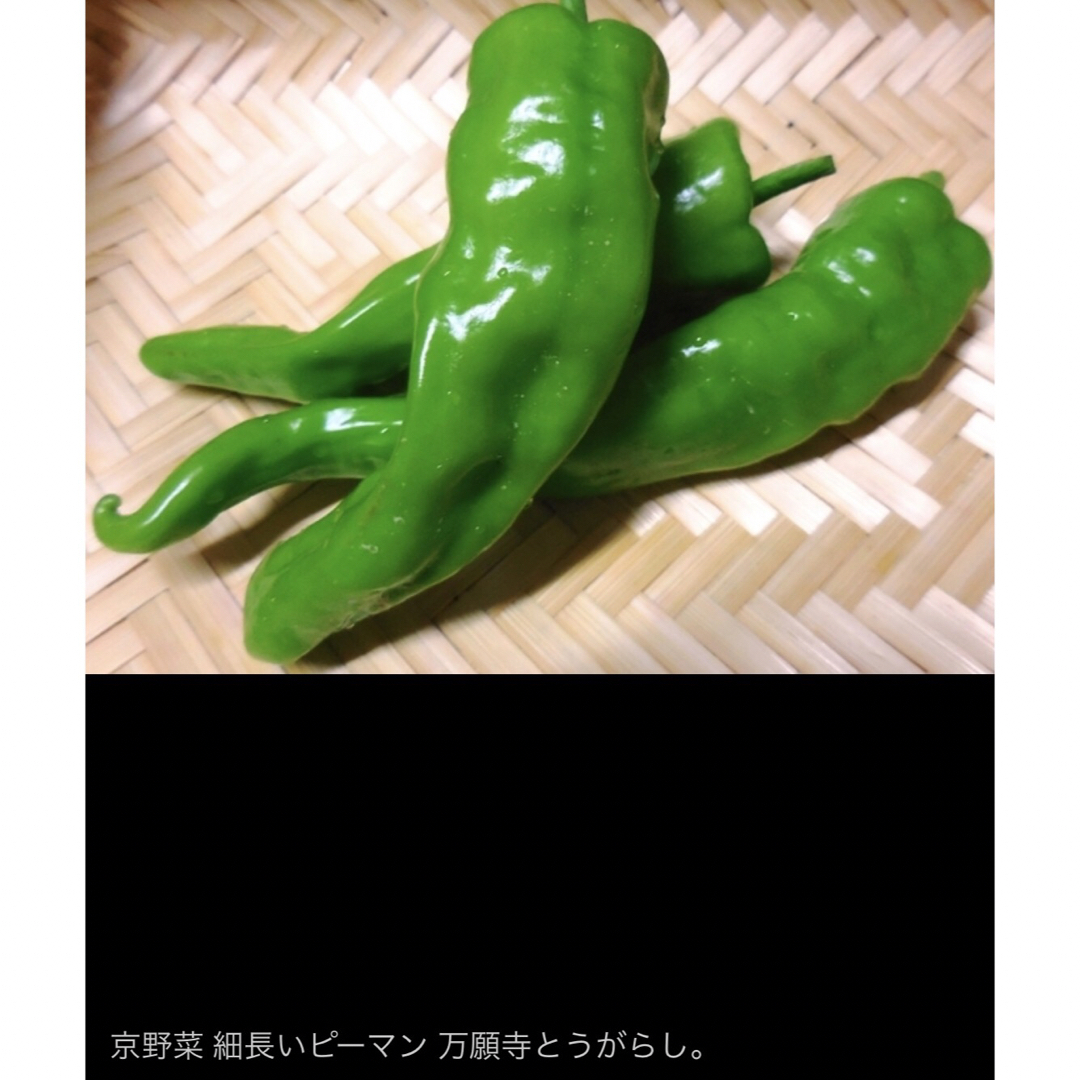 ムキムキ 甘い唐辛子 10粒 万願寺とうがらし ピーマン 京野菜 食品/飲料/酒の食品(野菜)の商品写真