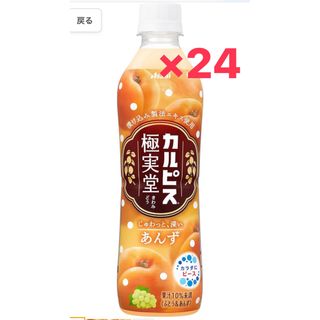 アサヒ(アサヒ)のカルピス 極実堂 あんず 500ml×24本セット【新品未開封】(ソフトドリンク)