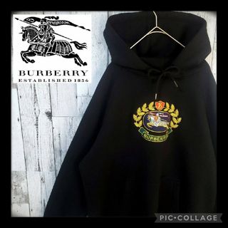 バーバリー(BURBERRY) ロゴ パーカー(メンズ)の通販 100点以上