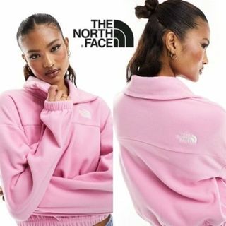 ザノースフェイス(THE NORTH FACE)のThe North Face ザ・ノース・フェイス  ジップ フリース(トレーナー/スウェット)