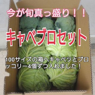 『今が旬真っ盛り❗❗』  キャべブロセット4個ずつ入り❕(野菜)