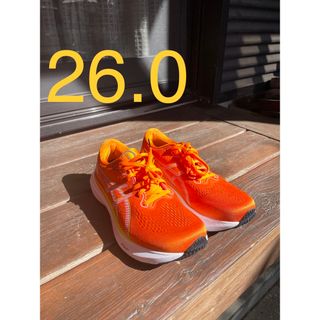 アシックス(asics)のアシックス GEL-KAYANO 30 2E ゲルカヤノ30 26.0cm(ランニング/ジョギング)