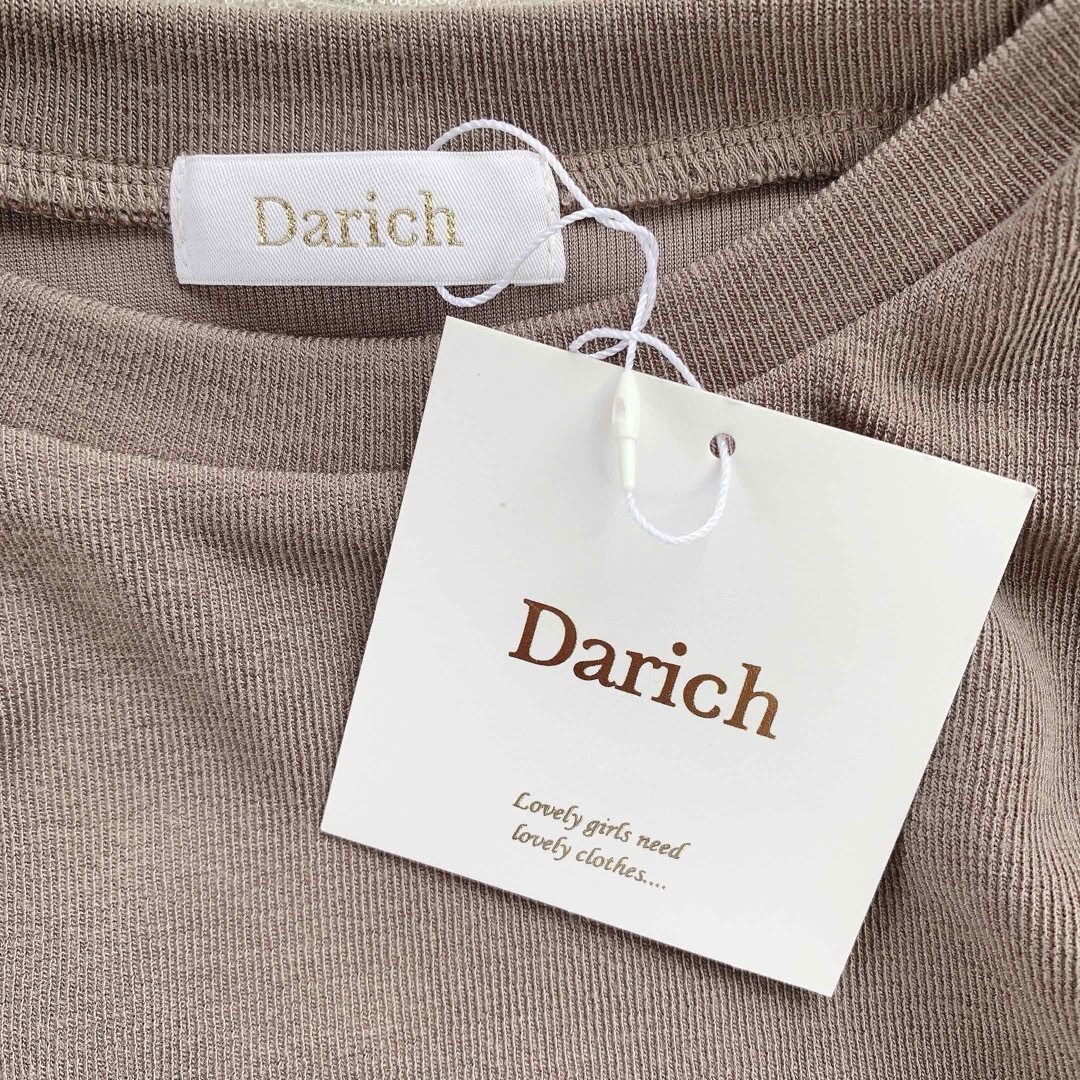 Darich(ダーリッチ)のDarich ビスチェドッキングトップス ブラウン系 レディースのトップス(カットソー(長袖/七分))の商品写真