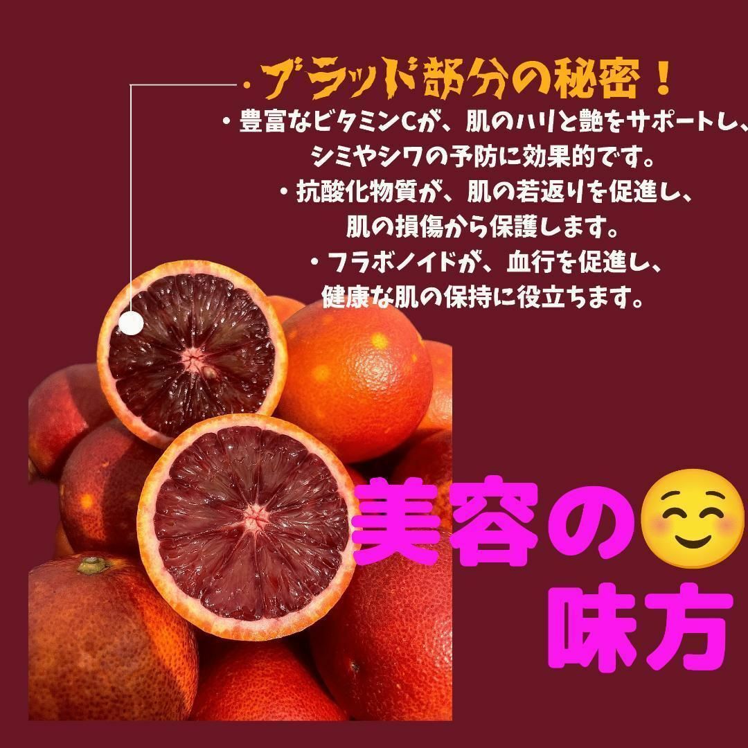 美容の味方！悪魔のブラッドオレンジ！3Kg 食品/飲料/酒の食品(フルーツ)の商品写真