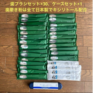 歯ブラシ ホテルアメニティ使い捨て 歯みがき粉 30本 日本製 キシリトール配合
