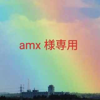 ザセム(the saem)のamx 様専用(コンシーラー)