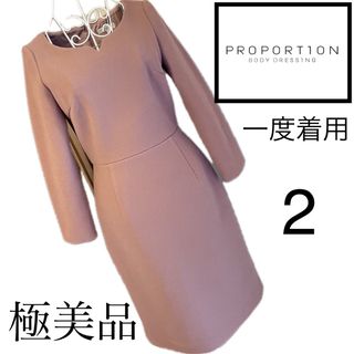 PROPORTION BODY DRESSING - ウーリッシュフラノバックレース
