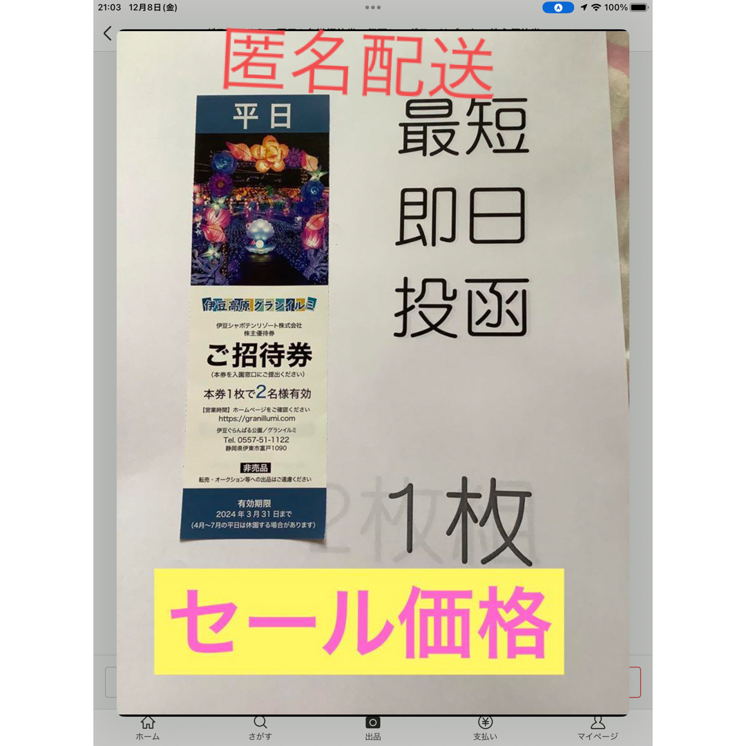 伊豆高原グランイルミ★平日２名様分招待券★2024年3月31日まで★株主優待券 チケットの施設利用券(遊園地/テーマパーク)の商品写真