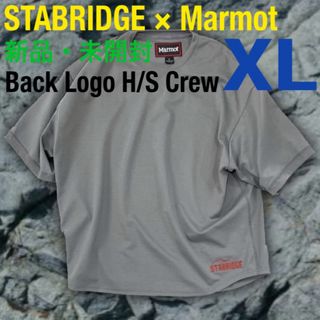 マーモット(MARMOT)のSTABRIDGE  Marmot Back Logo XL Apartment(Tシャツ/カットソー(半袖/袖なし))