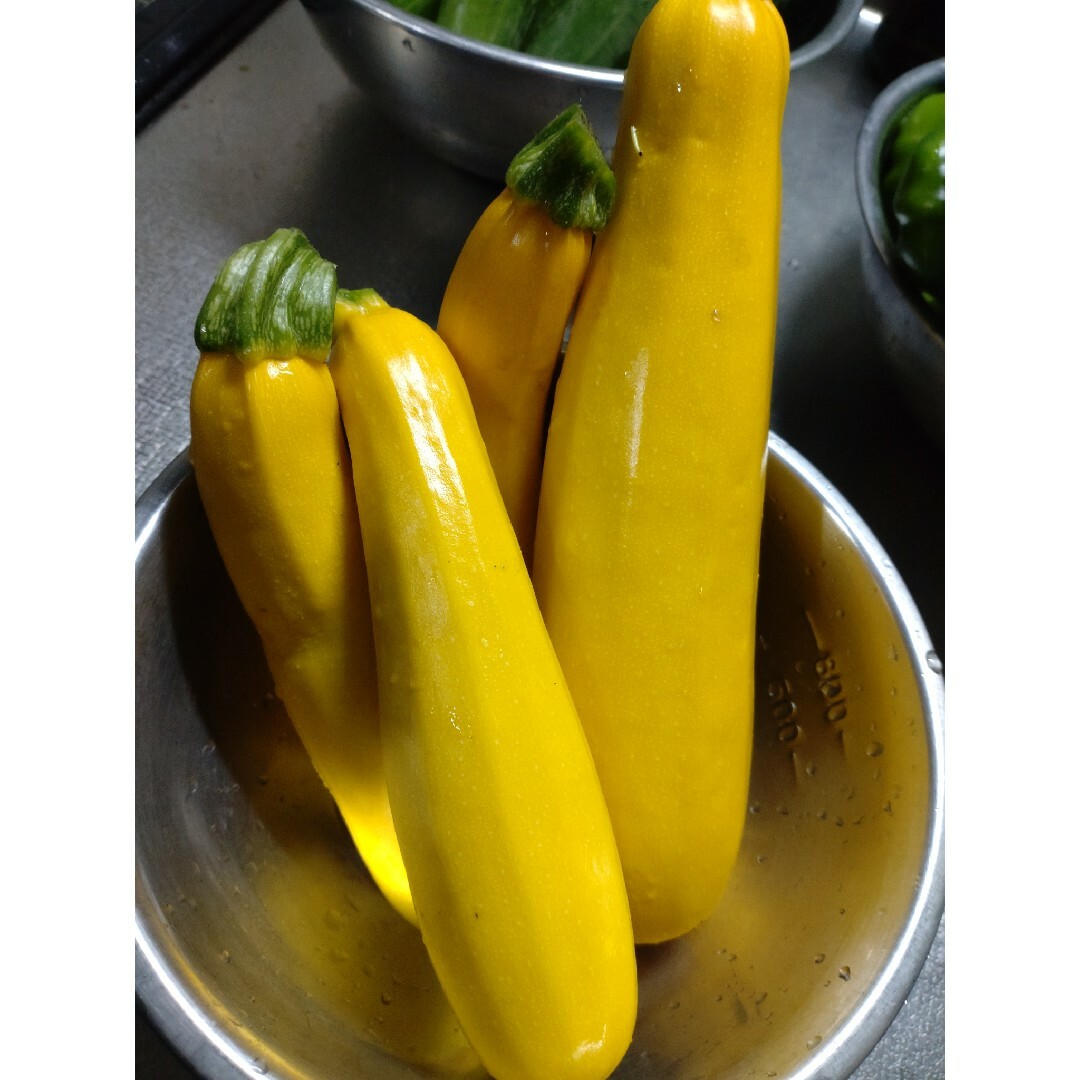 ズッキーニ（黄色）種　15粒 　無農薬栽培 食品/飲料/酒の食品(野菜)の商品写真