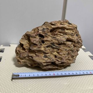 ADA 黄虎石  2.3kg 