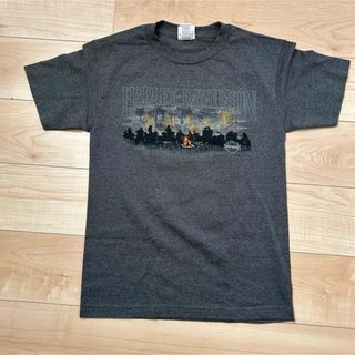 ハーレーダビッドソン(Harley Davidson)のハーレーダビッドソン　Tシャツ　ナイアガラフォール(Tシャツ/カットソー(半袖/袖なし))