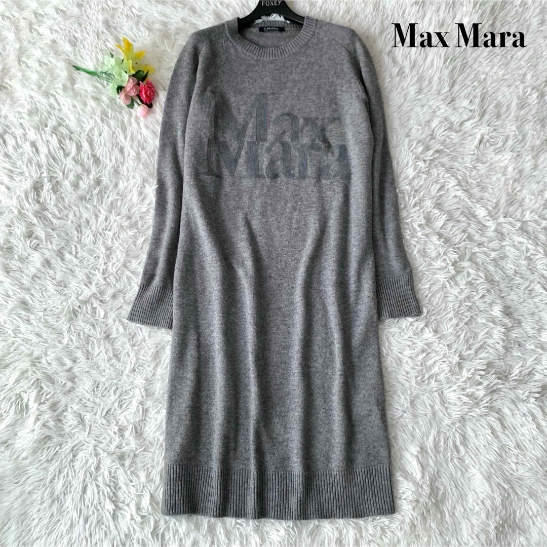 Max Mara(マックスマーラ)の【美品】マックスマーラ 膝丈 ワンピース ニット ロゴ カシミヤ混 グレー M レディースのワンピース(ひざ丈ワンピース)の商品写真