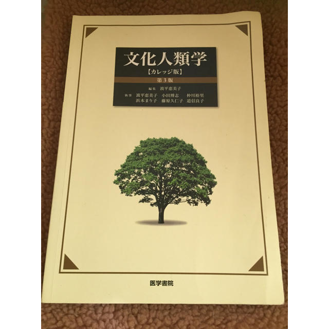 文化人類学 波平恵美子[編] 医学書院 エンタメ/ホビーの本(人文/社会)の商品写真