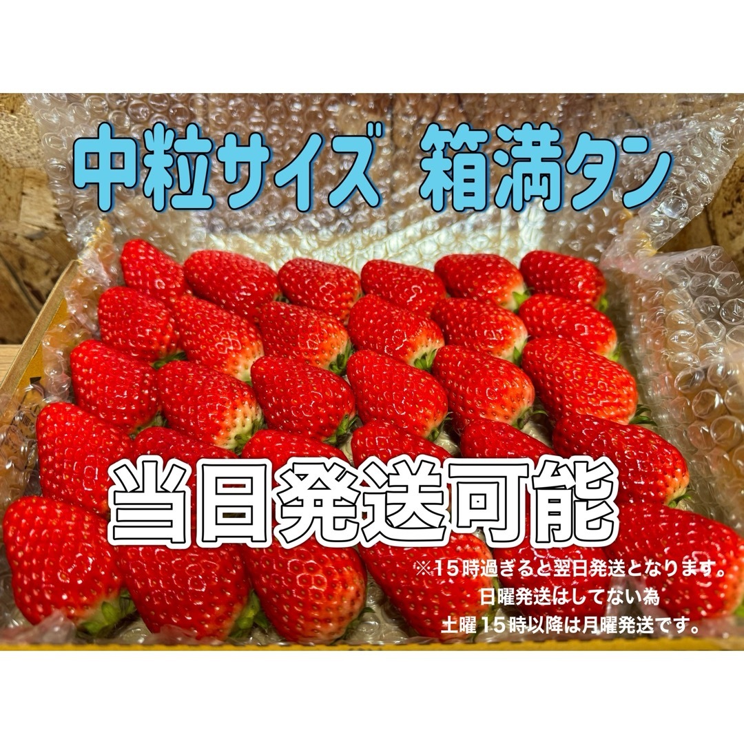 中玉サイズ 箱満タン750g以上 紅ほっぺ🍓いちご   食品/飲料/酒の食品(フルーツ)の商品写真