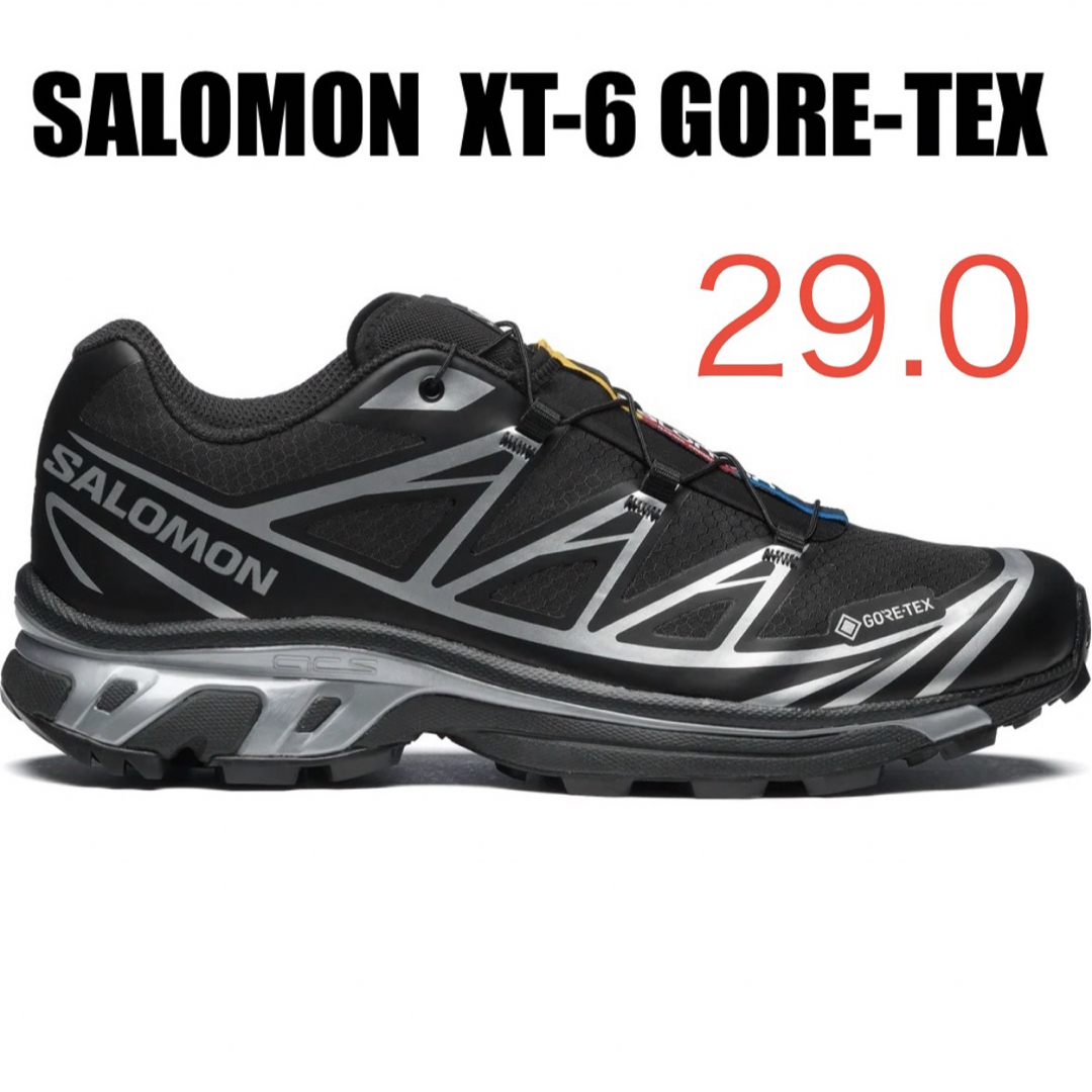 SALOMON(サロモン)のSALOMON XT-6 GORE-TEX ゴアテックス 29cm メンズの靴/シューズ(スニーカー)の商品写真