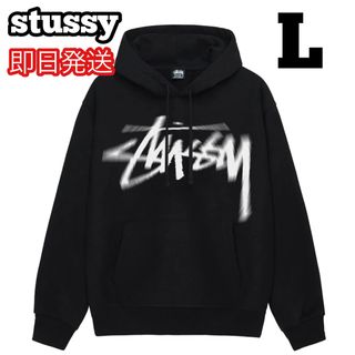 STUSSY - Stussy Dizzy Stock Hoodie パーカー スウェット Lの STUSSY - Stussy Dizzy Stock Hoodie パーカー スウェット Lの