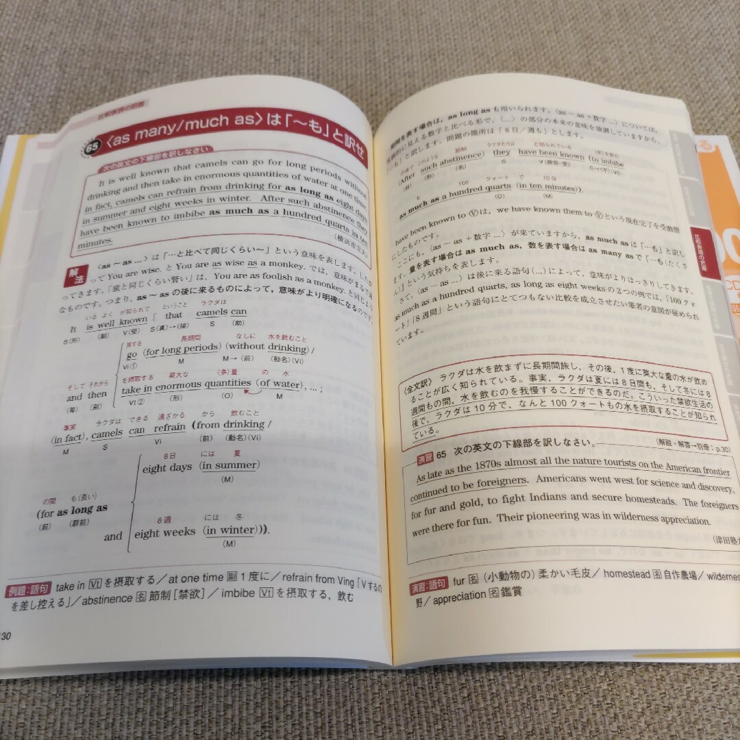 英文解釈の技術１００ エンタメ/ホビーの本(語学/参考書)の商品写真