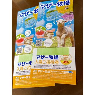 ’24.６/ 30 迄 ⭐︎ 千葉県 マザー牧場 ⭐︎ 入園券２枚セットです！(動物園)