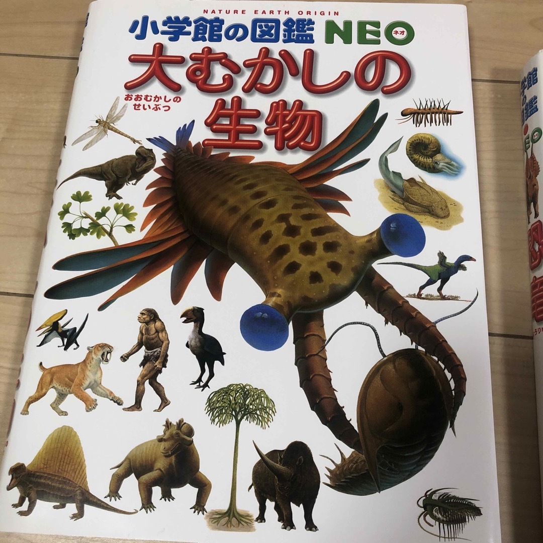 小学館(ショウガクカン)の小学館の図鑑NEO 恐竜 エンタメ/ホビーの本(絵本/児童書)の商品写真