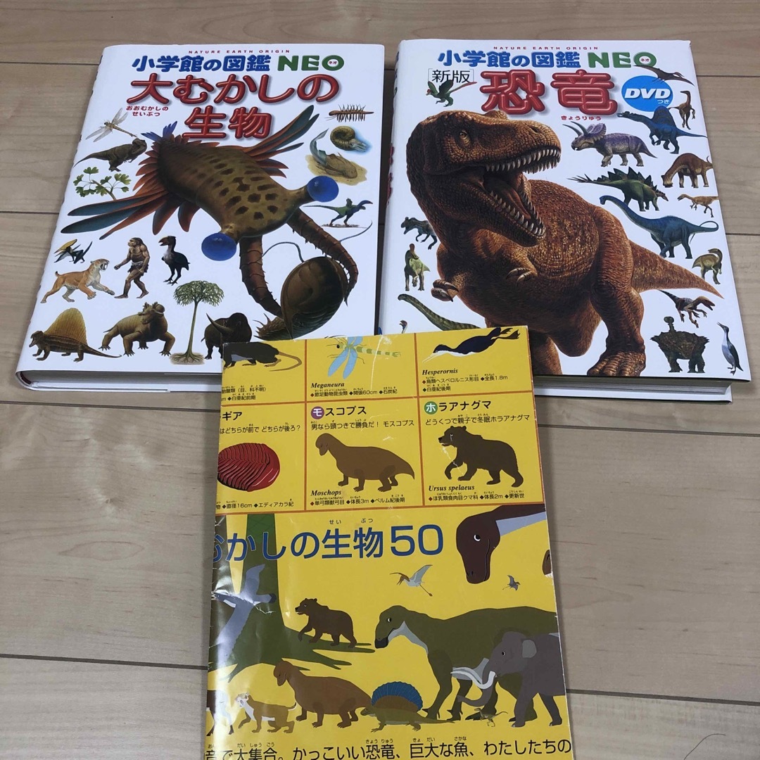 小学館(ショウガクカン)の小学館の図鑑NEO 恐竜 エンタメ/ホビーの本(絵本/児童書)の商品写真