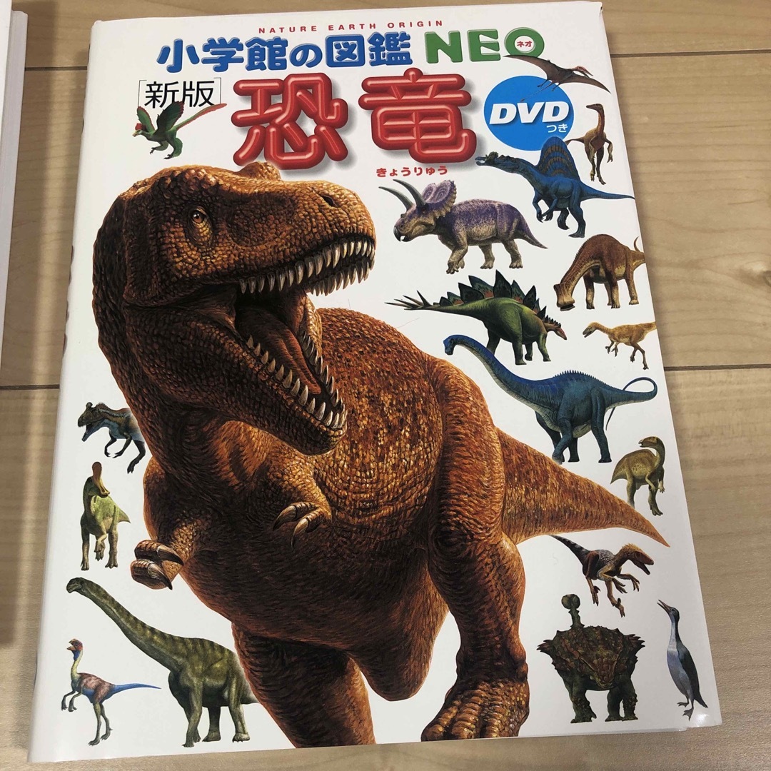 小学館(ショウガクカン)の小学館の図鑑NEO 恐竜 エンタメ/ホビーの本(絵本/児童書)の商品写真