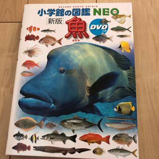 ショウガクカン(小学館)の小学館の図鑑NEO 魚(絵本/児童書)